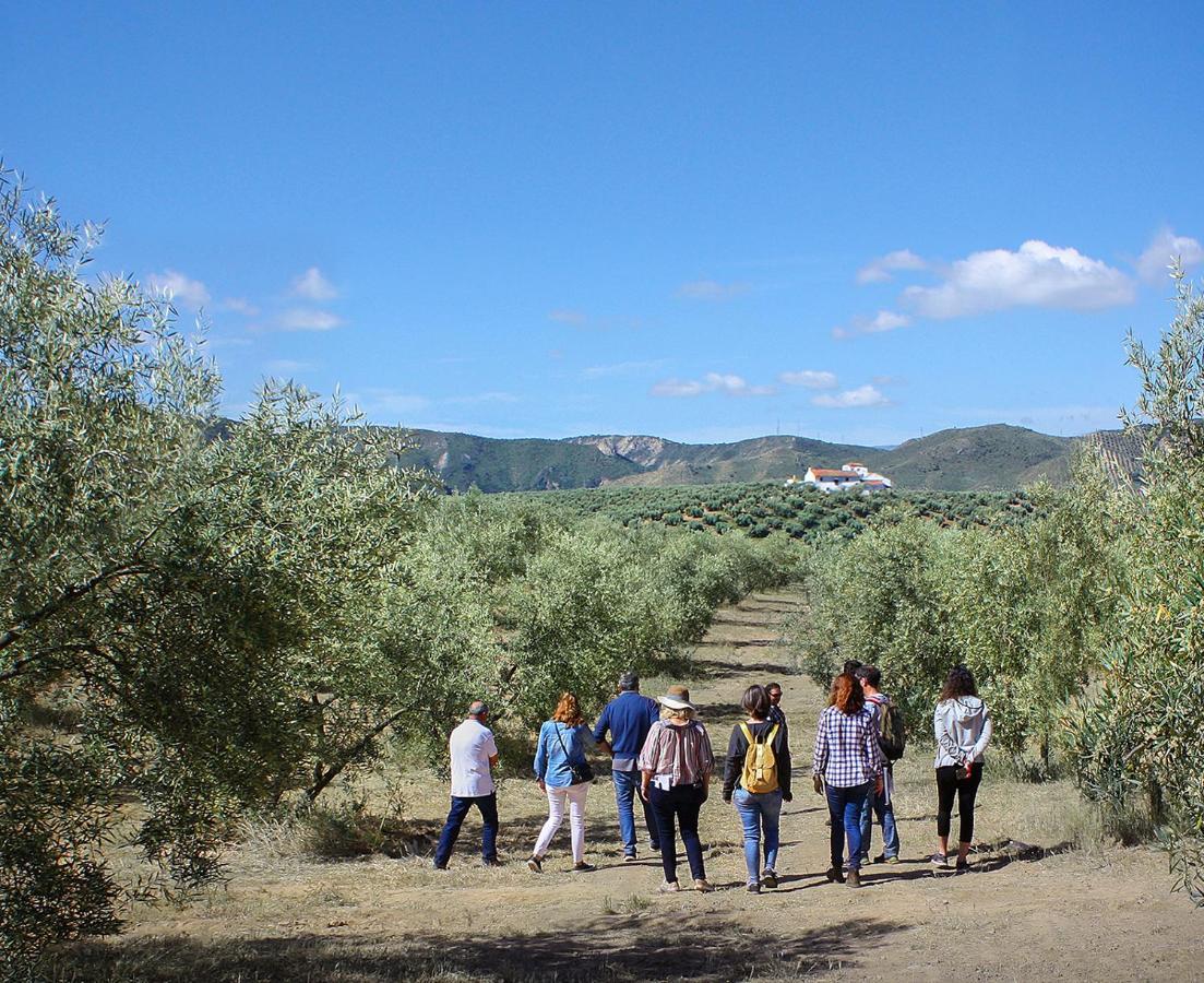 Cortijo Alzamigaja Vila Archidona Exterior foto