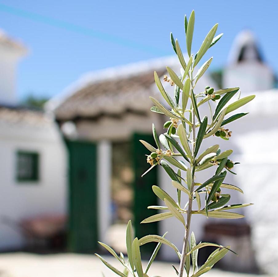 Cortijo Alzamigaja Vila Archidona Exterior foto